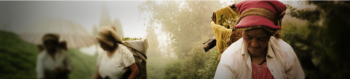 Female Leadership Journey 2024: Een Inspirerende Reis met Microkrediet voor Moeders